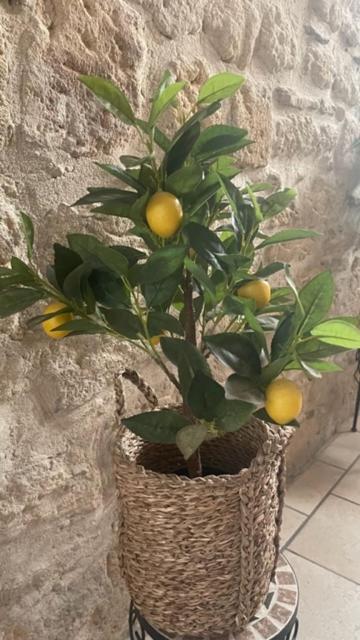 Ferienwohnung Le Grand Rouget Beaucaire  Exterior foto